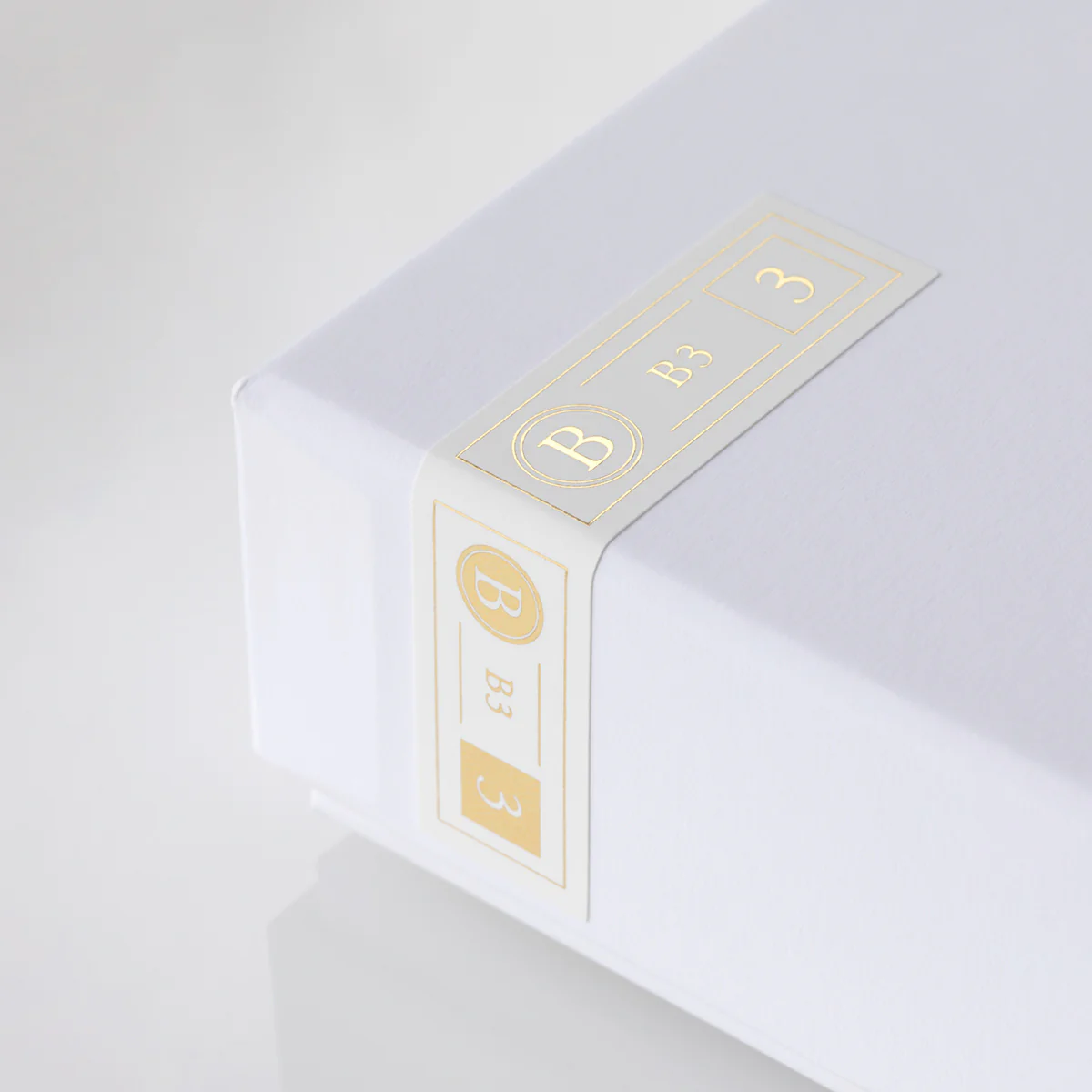 Final Audio B3 Dual BA Driver Earphones (+free Glow-in-the-Dark tips) - Image 8